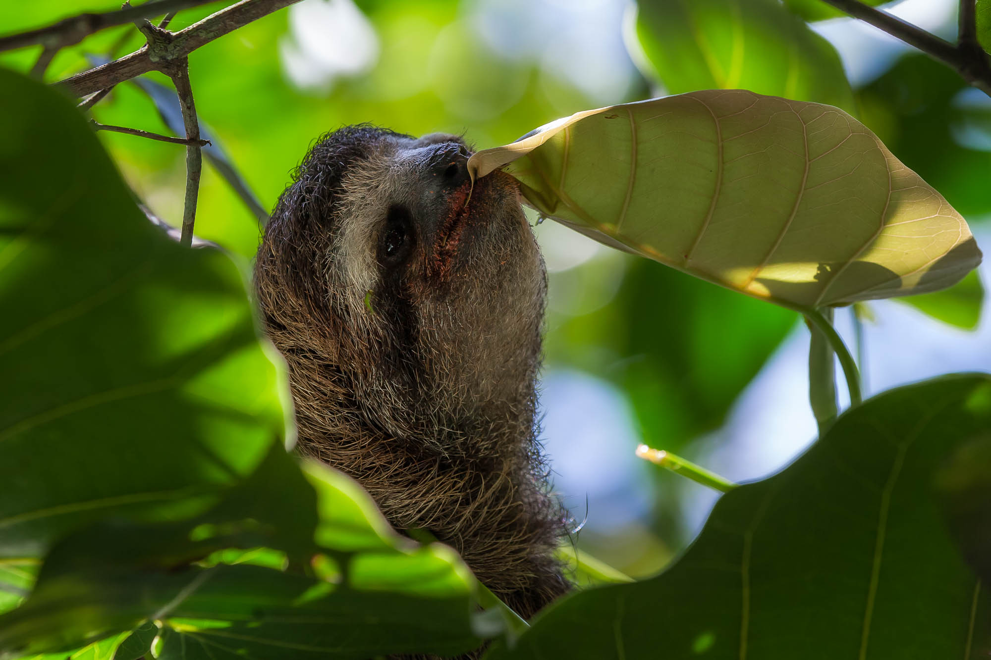 Costa Rica